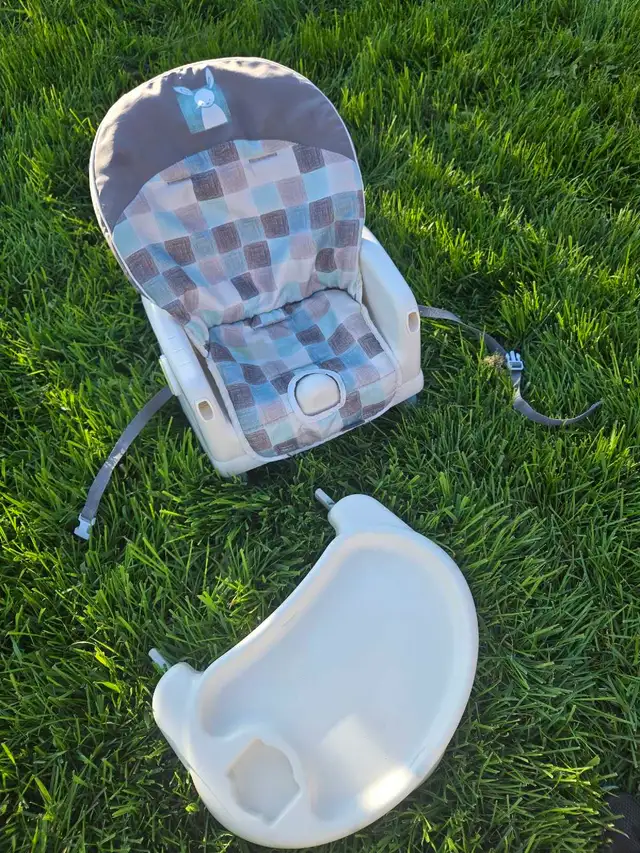 infant Boooster Seat in Bathing & Changing in Edmonton - Image 3