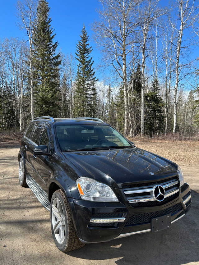  Mercedes-Benz  GL350 in Cars & Trucks in Vanderhoof - Image 3