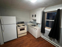 Affordable 1 bed apt close to downtown Chatham