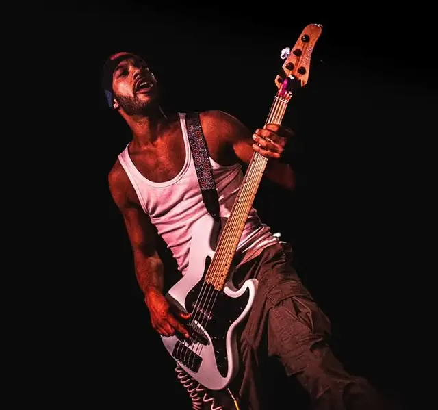 Bass player for gigging bands