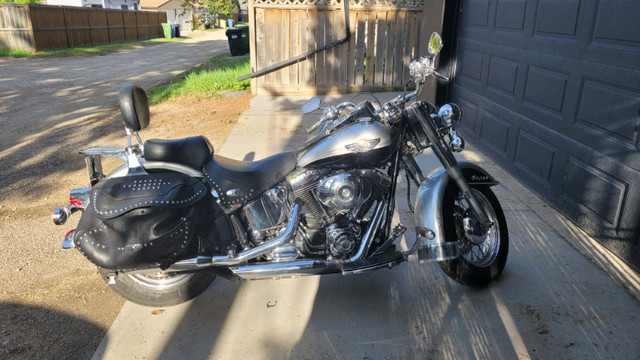 2003 Heritage Softail 100 Year Anniversary Edition in Street, Cruisers & Choppers in Calgary - Image 2