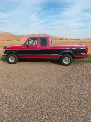 1995 Ford F 150