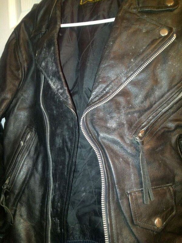 BLACK LEATHER MOTORCYLE JACKET in Women's - Tops & Outerwear in Charlottetown - Image 3