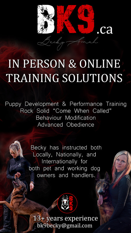 Dog Training Troubles? in Animal & Pet Services in City of Halifax - Image 3