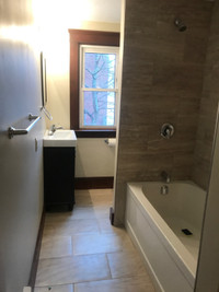 BEAUTIFUL NEWLY RENOVATED DOWNTOWN APARTMENT