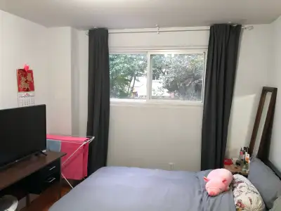 Bright, clean, and fully furnished main-floor bedroom with private entrance in a quiet and safe Nort...