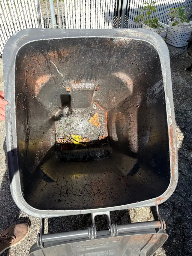 garbage bin cleaning