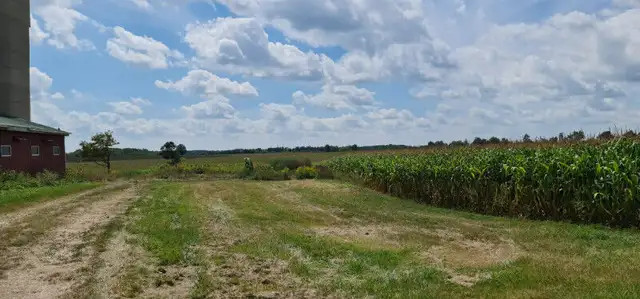 Farm Land for Lease - 1 to 10 Acres (No Hunting) in Commercial & Office Space for Rent in Hamilton