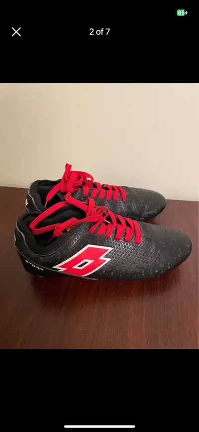 Pick up st Boniface or can deliver for $100. These are barely used, in mint condition.