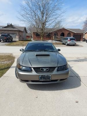 2001 MUSTANG GT V8 in Cars & Trucks in Owen Sound - Image 2