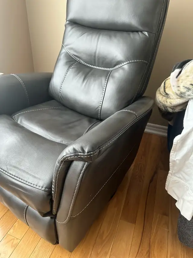 Recliner Lounger Chair