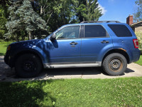 Used Vehicle