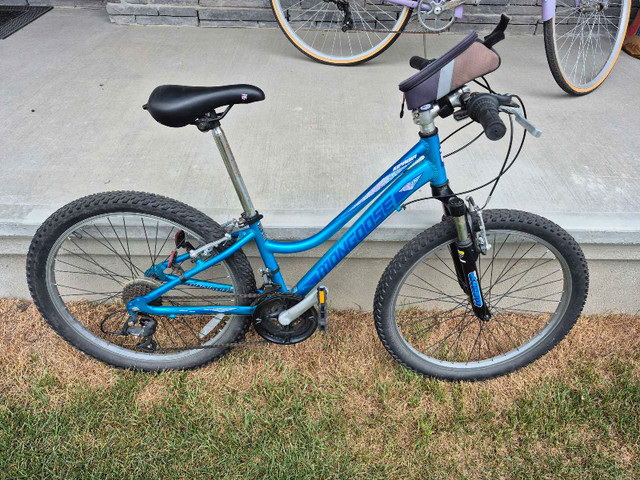 blue mountine bike  in Mountain in Ottawa - Image 2