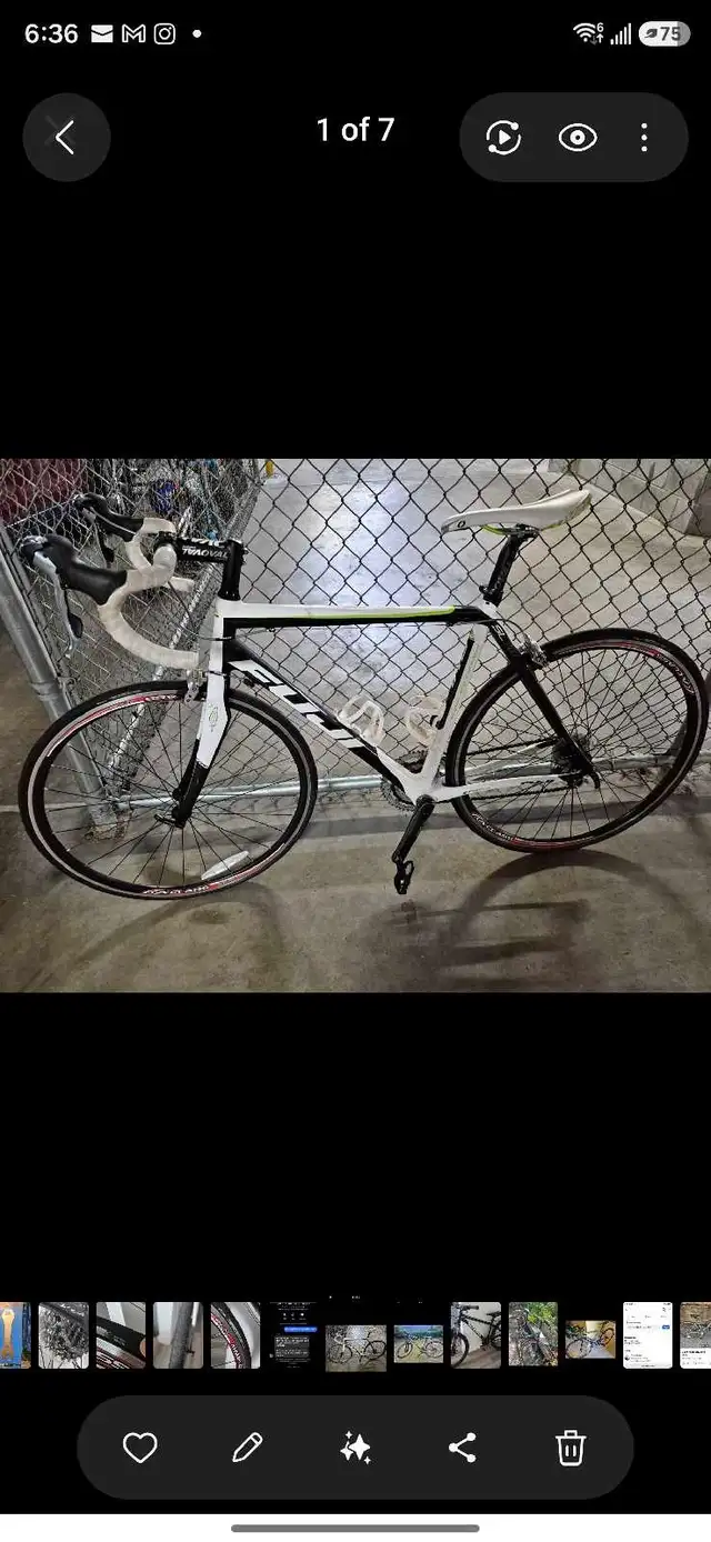 Fuji SL 3.0