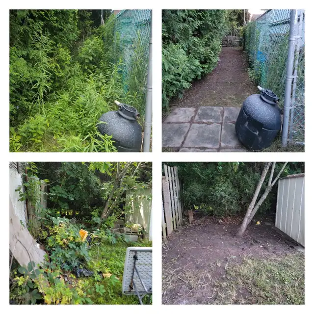Pressure cleaning ☆ Grounds maintenance ☆ Debris collection62864355606146122
