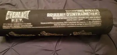EVERLAST F.I.T. TRAINING ROLLER, View more