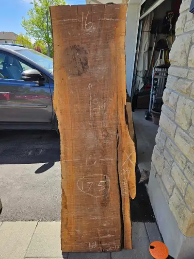 Walnut Slab, View more
