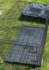 Large Petmate Dog Crate 