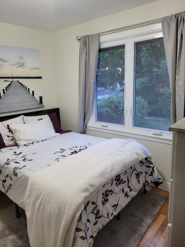 Carleton U/Billings Bridge 775900/mth furn rooms all incl A/C Room Rentals & Roommates