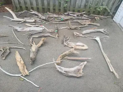 Driftwood from Georgian Bay, View more