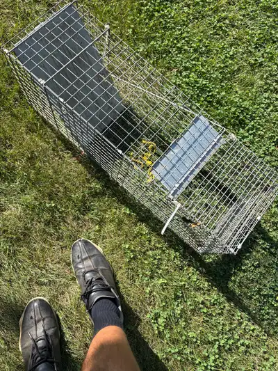 small animal live trap, View more