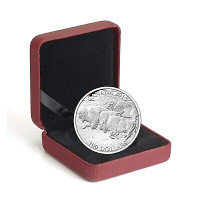 2013 $100 BISON STAMPEDE - PURE SILVER COIN