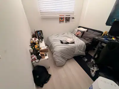 My roommate is moving out and my house is looking for a new member. This is a 4 person basement unit...