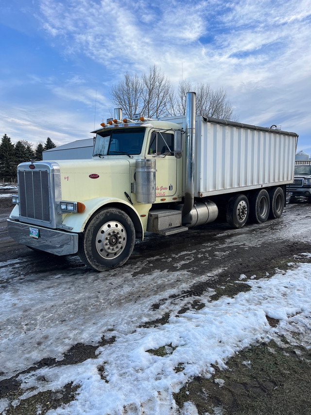 Peterbilt 379 in Heavy Trucks in Brandon