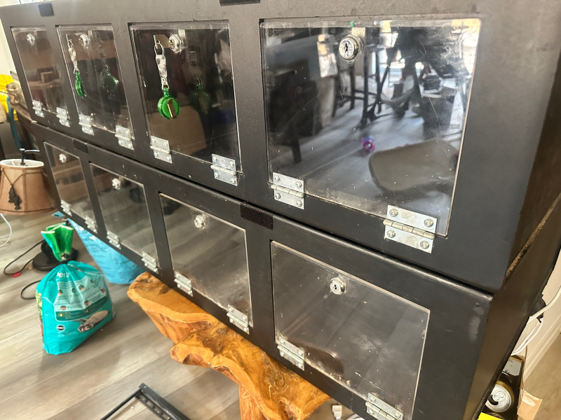 Pvc enclosures Reptiles & Amphibians for Rehoming Woodstock Kijiji