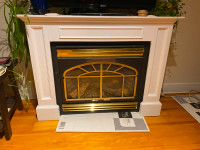 Napoleon Gas Fireplace