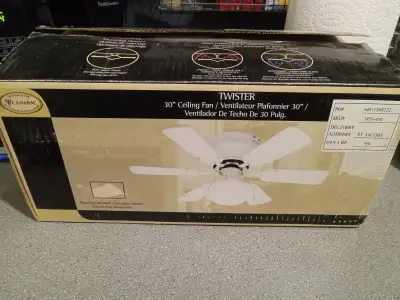Canarm Twister 30"Ceiling Fan, View more