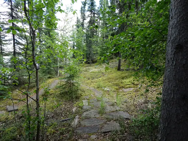 Cabin For Sale Nemeiben Lake SK in Houses for Sale in La Ronge - Image 6