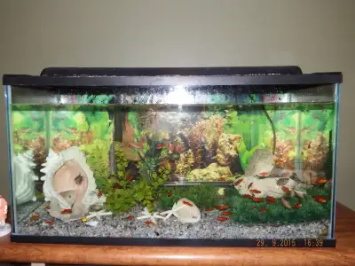 Fish tank all equipped, 10"D 12" H 20" W plus all kinds of extra items Filters, Pumps rocks, pebbles...