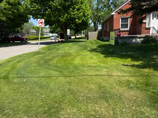 Grass Cutting