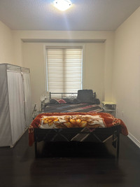 Private room in brampton for $650