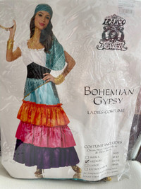 Women's Halloween Costume - Bohemian Gypsy - Size M