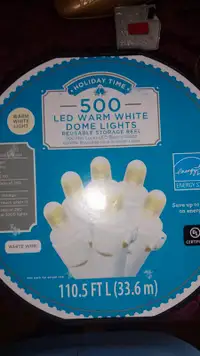 Brand New in Package – White Mini Lights. 50.00