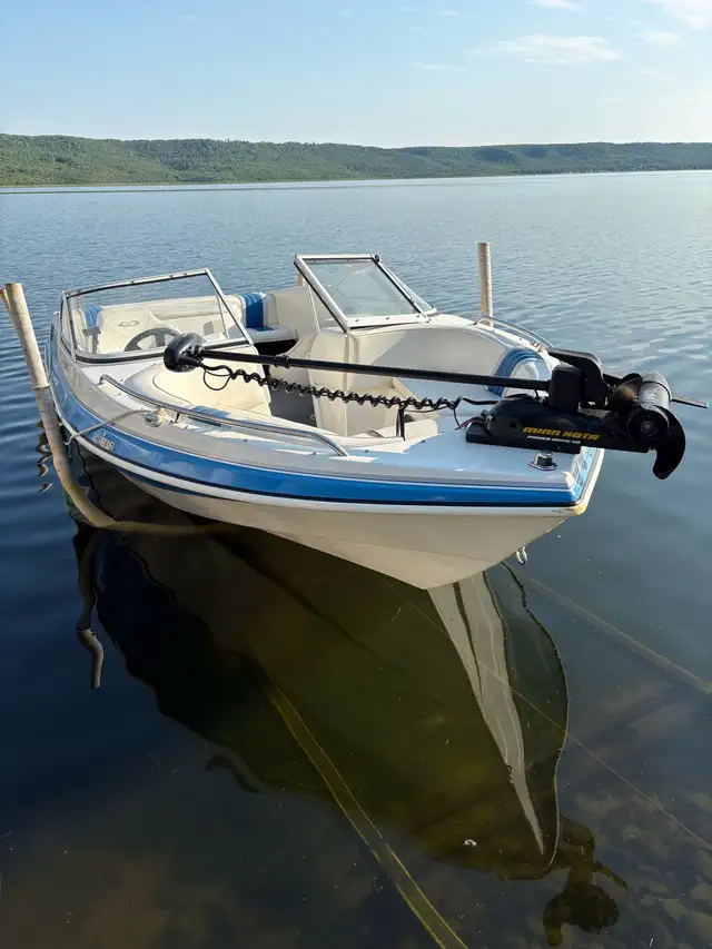 boat for sale in Powerboats & Motorboats in Regina - Image 2