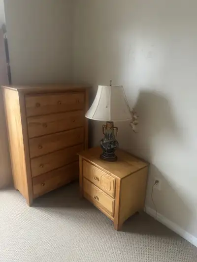 All inclusive spacious, bright and furnished room in a beautiful cozy house for rent in Avalon neigh...