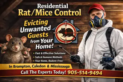 What's that scratching sound in the walls and roof of my house? Rats or Mice in your home? We provid...