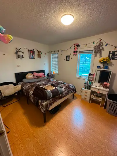 Big size room for rent in Brampton, View more