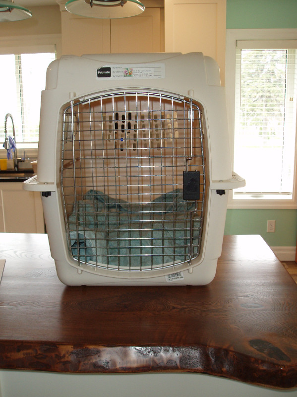 Dog Crate in Accessories in Kitchener / Waterloo - Image 2