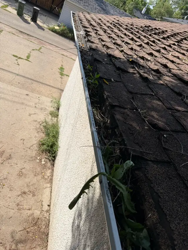 gutter and downspouts cleaning 