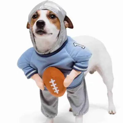 Dog Costume - Football Player - $15, View more