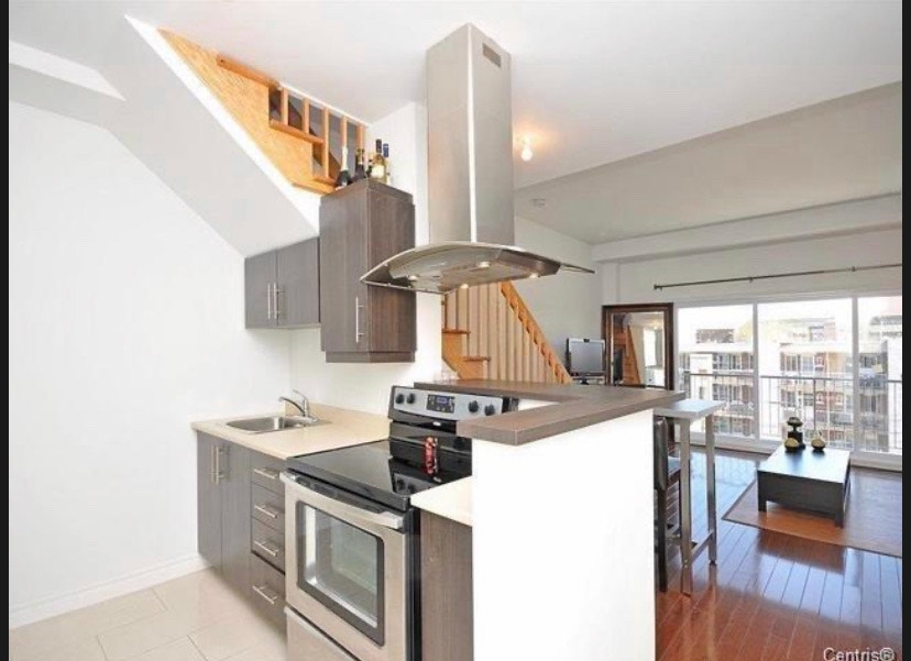 Spacious 3 1/2 on 2 floors with private terrace and balcony — photo 3