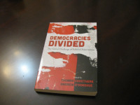 DEMOCRACIES DIVIDED BOOK
