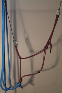 Maroon rope halter w/ blue lead rope