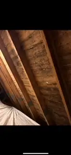 Asbestos removal/demolition services62863715599745124