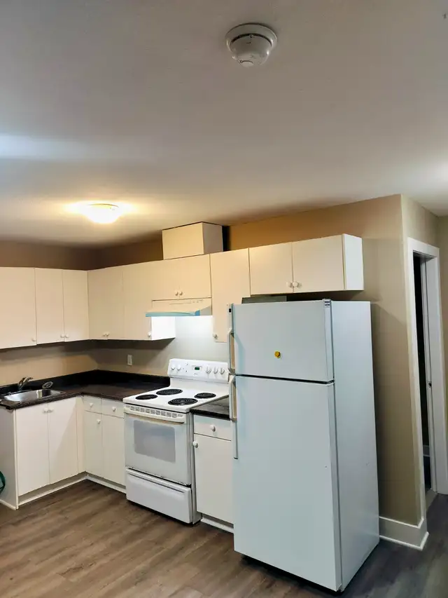 New paint/floor 2br Willoughby legal basement suite for rent in Long Term Rentals in Delta/Surrey/Langley - Image 2