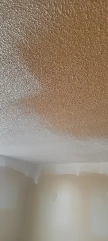 Experienced Painter looking for work in Construction & Trades in City of Halifax - Image 7